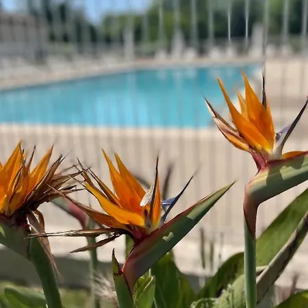 1 - Les De Robinson - Avec Piscine En Bord De Siagne, A *